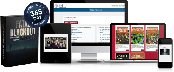 Fatal Blackout program mock-up